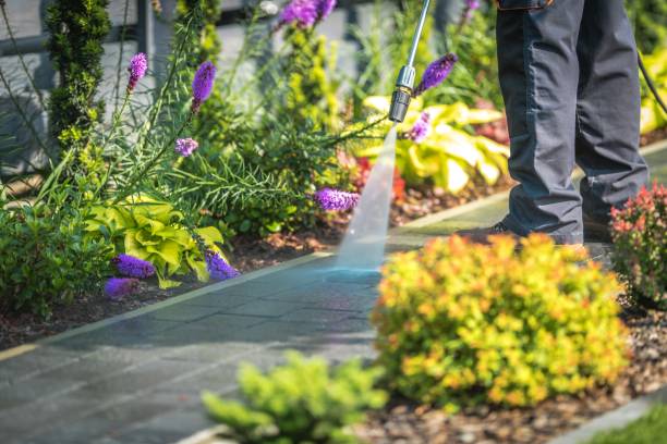 Best Animal Enclosure Cleaning  in Madison, WI